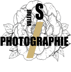 PHOTOGRAPHE MARIAGE BORDEAUX